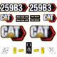 Compatible With 259b3 Decal Kit Skid Steer Stickers Free Shipping -3m Vinyl
