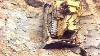 World Dangerous Idiots Bulldozer Heavy Equipment Operator Skill Fastest Working Bulldozer Driving