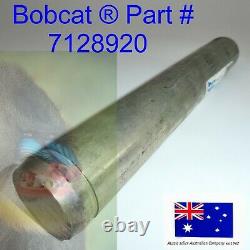 Bobcat Pivot Véritable Épingle 7128920 325 328 329 331 334 425 428 430 E25 E26 E27 E32