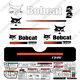 Bobcat T590 Compact Track Loader Decal Kit Skid Steer T-590 (rayures Droites)
